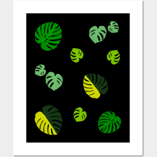 Monstera Deliciosa Posters and Art